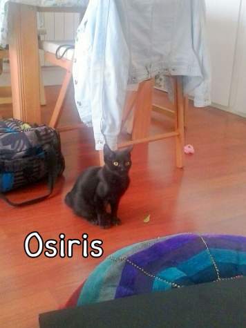 Osiris