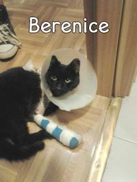 Berenice necesita nuestra ayuda