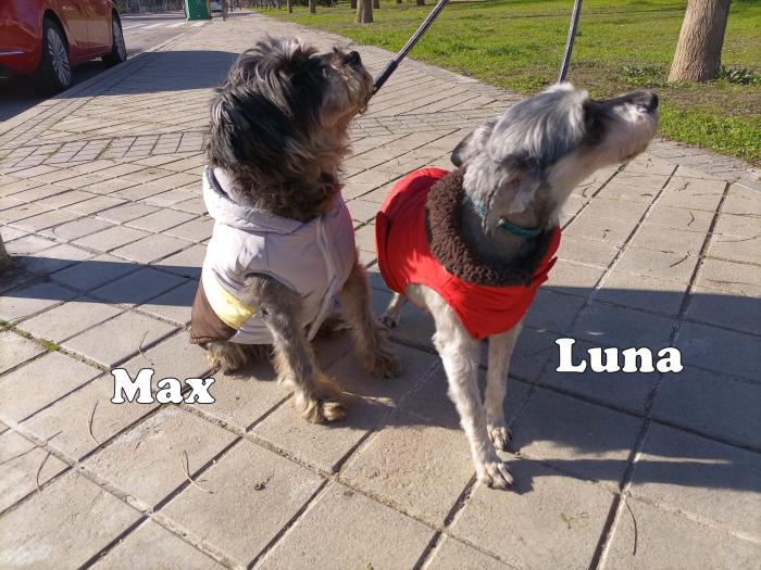 Luna y Max